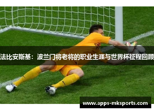 法比安斯基：波兰门将老将的职业生涯与世界杯征程回顾