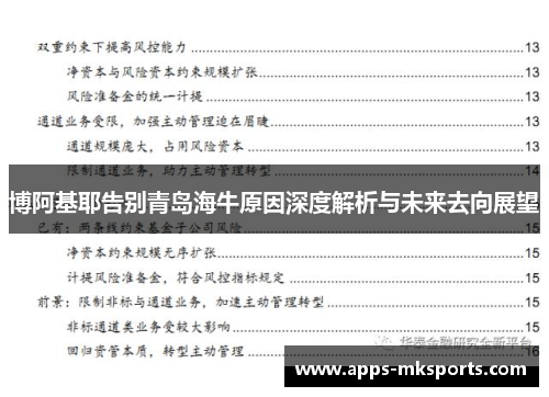 博阿基耶告别青岛海牛原因深度解析与未来去向展望
