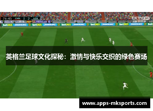 英格兰足球文化探秘：激情与快乐交织的绿色赛场